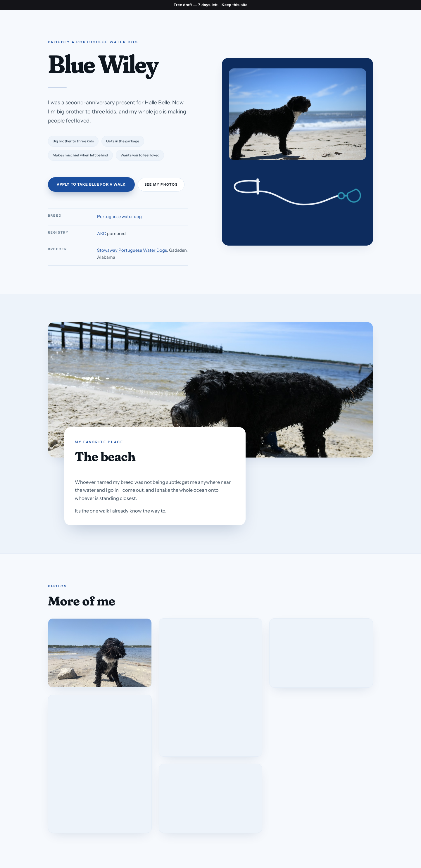 Blue's website — home page